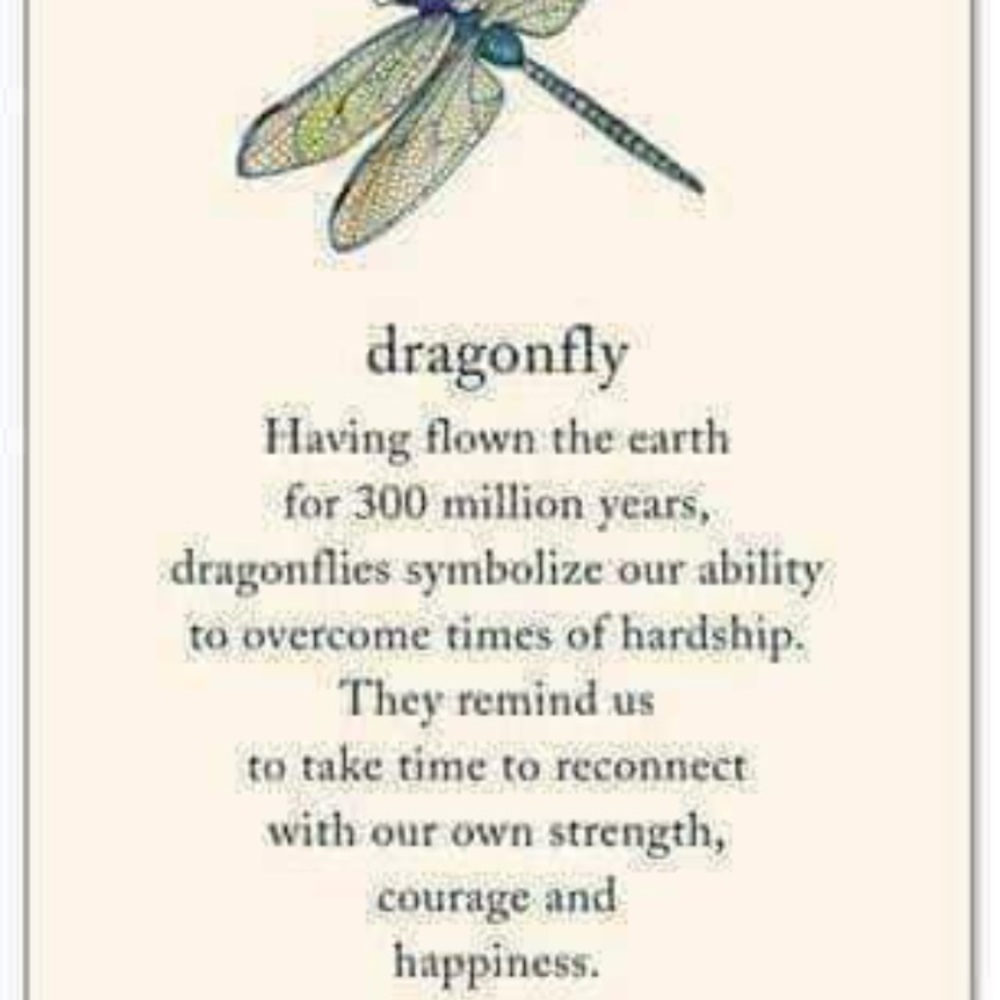 New! Dragonfly Rhinestone Brooch - Picture 7 of 8